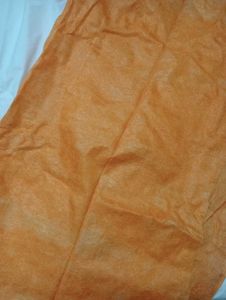 Orange Saree