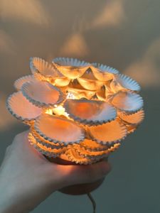 Shell Lamp