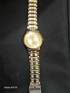 Mans Citizen Golden Chain Watch