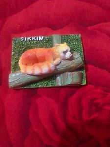 Beautiful Sikkim Fridge Magnet New