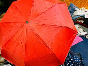 Umbrella