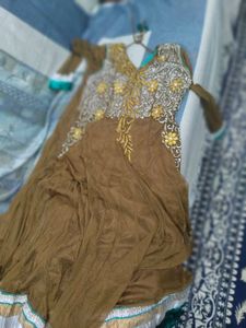 Elegant Brown Embroidered Dress