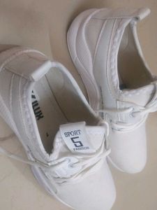 Sport Fation Shoes Local