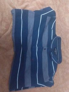 Striped Polo T-Shirt