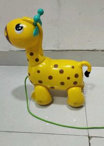 Nicco The Giraffee