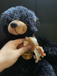 Black Teddy with muffler