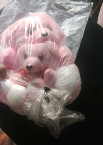 Teddy Bear And Shoes