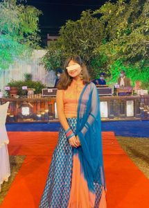 Elegant Ethnic Skirt