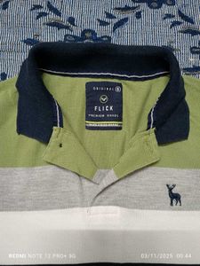 Flick Striped Polo T Shirt (💚 🤍 💙)