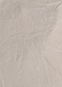 SAEINDIA Tshirt