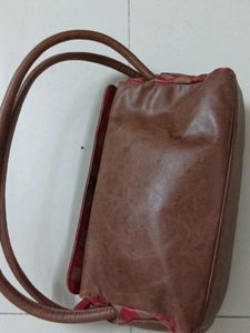 Baggit Handbag