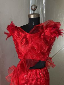 Red Lehenga Choli