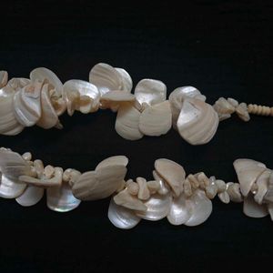 Mother Of Pearl  Shell Necklace