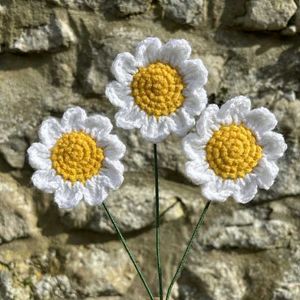 Crochet Daisy