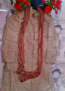 Men Sherwani Festive Wear