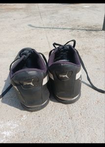 Puma Roma BMW 1st Copy