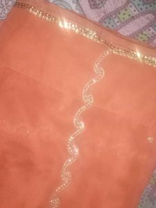 Peach Embellished Saree