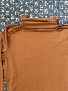 Brown Turtleneck Long Sleeve Top