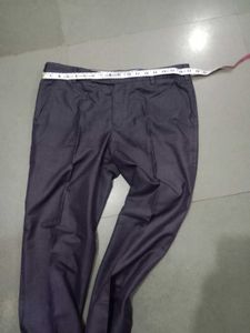 Trouser Pant
