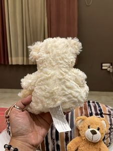 Teddy Bear Collection