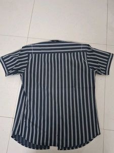 Striped Blue Buffalo Shirt