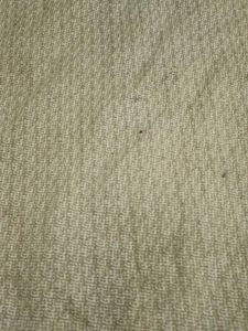 Embroidery Cotton Kurti