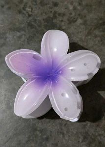 Floral Hair Clips (Pack Of 2)