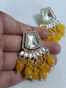 Stunning Dangler Earrings- BRAND NEW