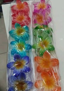 Combo Of 2 Trendy Claw Clips
