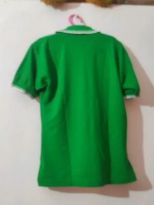 Women Green T-Shirt