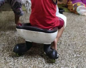 Panda Bike
