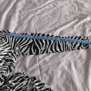Zebra Print Dress
