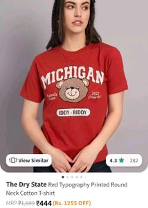 Michigan Bear Tee- The Dry State.