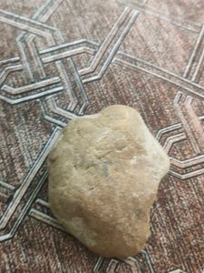Interesting Rock Fossil Stone Value Is 20$