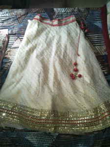 Ethnic Skirt