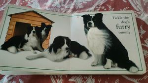 Board Book For Kids