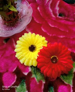 Woman Flower Yellow & Red Clip 💛♥️