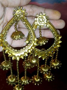 Golden Earrings 😍