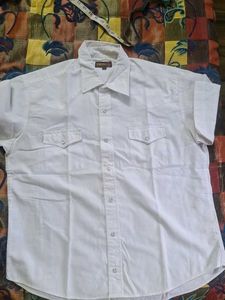 White Short Half Stylish Shirt
