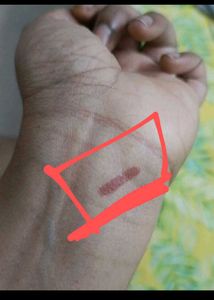 Plum Perfume Lipstick Combo