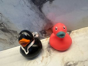 Cute Rubber Duckies