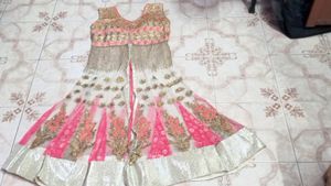 Elegant Indian Dress