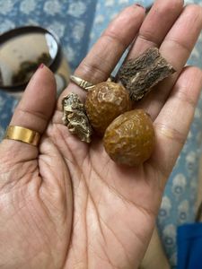 Reetha Amla Shikakai