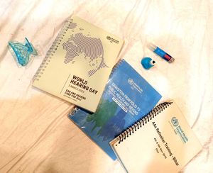 Pack Of 8 New Diaries