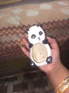 Cute Panda Plant