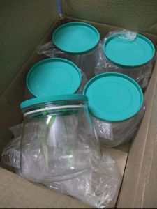 Storage Container Plastic (Pack Of 6)