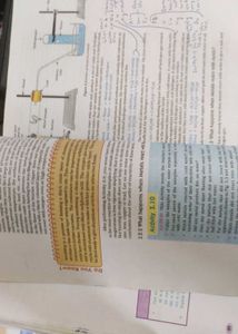 NCERT Class 10 Science Book