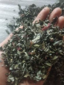 Danthapala(swethakutaja)  dried leafe and hibiscus