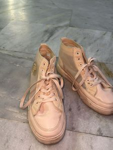 Always In Trend