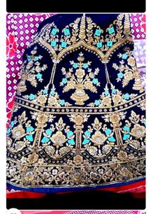 Elegant Embellished Lehenga